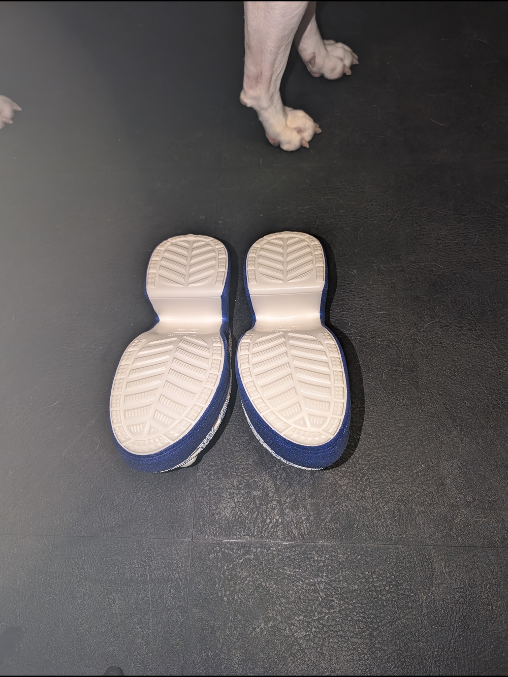 CROCS Blue Glitter Platform Clogs with White Printed Upper and Red Buckles - Picture 3 of 6